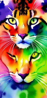 Colorful watercolor cat duo in vibrant rainbow hues.