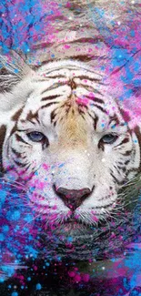 White tiger with vibrant pink and blue splashes in a breathtaking wallpaper.