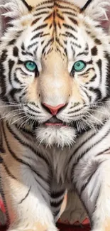 White tiger with vibrant colors and blue eyes in artistic wallpaper.