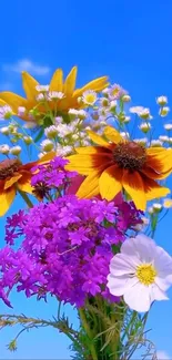 Vibrant wildflower bouquet with colorful blossoms against a blue sky.