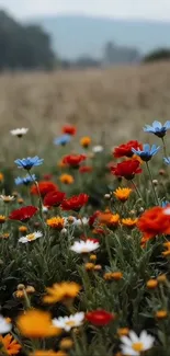 Colorful wildflowers in a serene meadow setting.