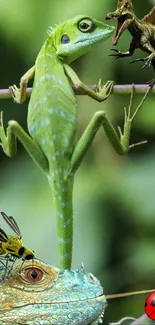 Colorful wildlife art with lizard and insects.