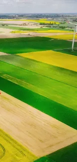 Aerial view of vibrant fields with wind turbine.