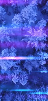 Neon-lit winter forest wallpaper with purple hues.