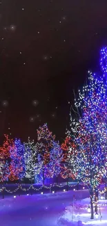 Snowy path with vibrant blue and red lights on trees at night.