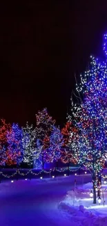 Colorful tree lights on snowy winter night path.