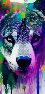 Vibrant artwork of a wolf with colorful splashes.