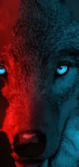 Wolf with vibrant red and blue tones staring intensely.