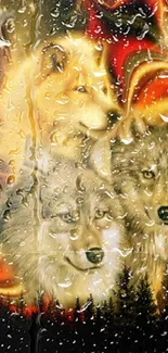 Vivid wallpaper of wolves with raindrop effects and a forest background.