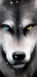 Wolf with colorful eyes in artistic wallpaper design.