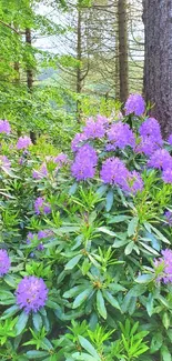 Vibrant purple flowers bloom in a lush green forest setting.