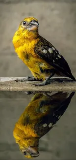 Yellow bird near water with its reflection creating a peaceful scene.