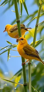 Two yellow birds perched on green bamboo against a soft background.