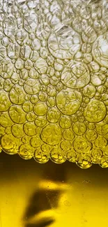 Close-up of vibrant yellow bubbles forming an abstract pattern.