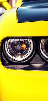 Close-up of a vibrant yellow sports car headlight.