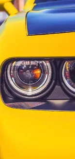 Close-up of a yellow car headlight showcasing sleek design.