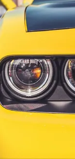 Close-up of a vibrant yellow car headlight.