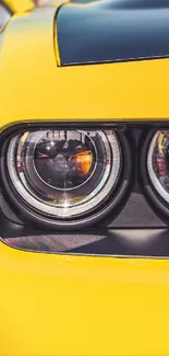 Vibrant yellow car headlight close-up wallpaper.