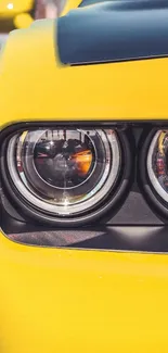 Close-up of a vibrant yellow car headlight with sleek, modern design.