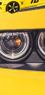 Close-up of a vibrant yellow car headlight.