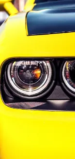 Close-up of vibrant yellow sports car headlight in sunlight.