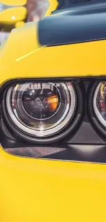 Closeup of a vibrant yellow car headlight showcasing sleek design.