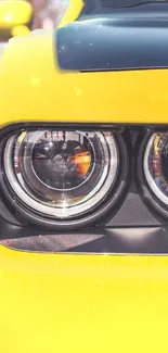 Close-up of yellow car headlights showcasing sleek design.