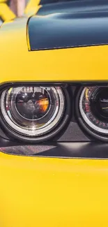 Close-up of a vibrant yellow sports car headlight.