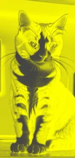 Yellow cat artwork with speakers background.