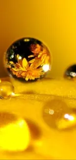 Vibrant yellow wallpaper with water droplets reflecting flowers.