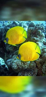 Vibrant yellow fish swimming near a coral reef.