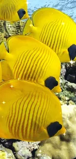 Colorful yellow fish swim above a coral reef in a vibrant underwater scene.