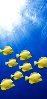 Yellow fish swimming in a deep blue ocean.