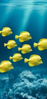 Yellow fish swimming in a deep blue ocean wallpaper.