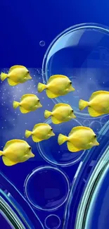 Vibrant yellow fish swim against a deep blue bubbly background.