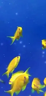 Vibrant yellow fish swimming in a deep blue ocean background.