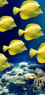 Yellow fish swim over a coral reef in vibrant underwater scene.