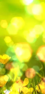 Vibrant yellow flowers with green bokeh.