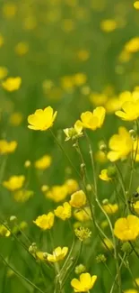 Yellow flowers in a lush green field, exuding natural beauty and serenity.