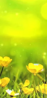 Vibrant yellow flowers in a green field wallpaper.