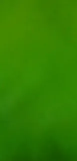 Yellow flowers in a green field wallpaper, vibrant and serene.