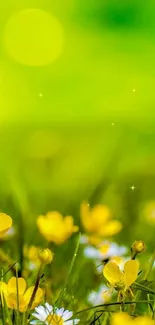 Yellow flowers in a vibrant green field wallpaper.