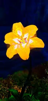 Glowing yellow flower on dark background mobile wallpaper.