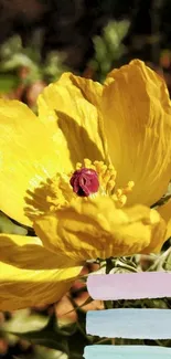 Vibrant yellow flower with soft pastel accents.