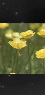 Close-up of yellow flowers in a lush green field, perfect for a nature wallpaper.