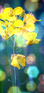 Vibrant yellow flower against a green background on mobile wallpaper.