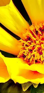 Close-up of vibrant yellow flower petals with intricate textures.