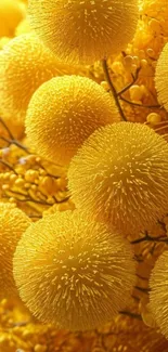 Vibrant yellow textured flowers in a stunning mobile wallpaper.