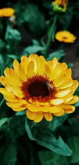 Close-up of a vibrant yellow flower with a bee in natural surroundings.