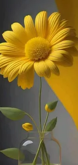 Yellow flower in a vase against a gradient background.